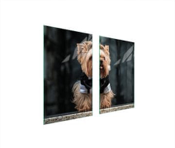 shumee STEKLENA ZAŠČITNA PLOŠČA ZA ŠTEDILNIK 75x52 DOG
