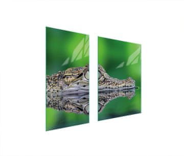 shumee ZAŠČITNA STEKLENA PLOŠČA 75x52 KROKODILA