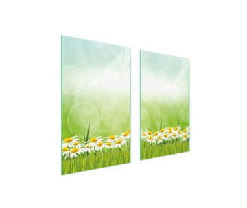 shumee STEKLENA ZAŠČITNA PLOŠČA ZA ŠTEDILNIK 75x52 DAISY