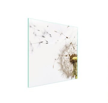 shumee STEKLENA ZAŠČITNA PLOŠČA ZA ŠTEDILNIK 50x52 FLOWER