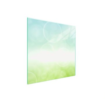 shumee ZAŠČITNA STEKLENA PLOŠČA ZA ŠTEDILNIK 50x52 DAISY