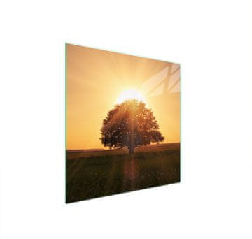 shumee STEKLENA ZAŠČITNA PLOŠČA ZA ŠTEDILNIK 50x52 TREE