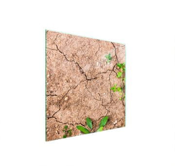 shumee STEKLENA ZAŠČITNA PLOŠČA ZA ŠTEDILNIK 50x52 RASTLINE