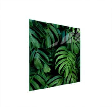 shumee ZAŠČITNA STEKLENA PLOŠČA ZA ŠTEDILNIK 50x52 MONSTERA