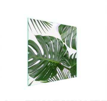 shumee ZAŠČITNA STEKLENA PLOŠČA ZA ŠTEDILNIK 50x52 MONSTERA