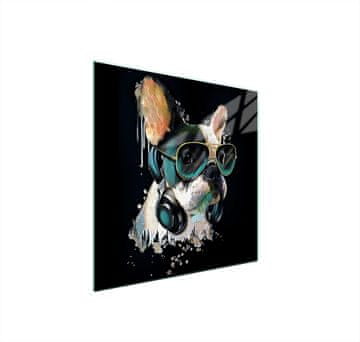shumee STEKLENA ZAŠČITNA PLOŠČA ZA ŠTEDILNIK 50x52 DOG