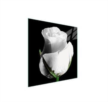 shumee STEKLENA ZAŠČITNA PLOŠČA ZA ŠTEDILNIK 50x52 ROSE