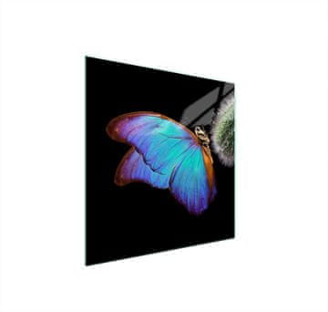 shumee STEKLENA ZAŠČITNA PLOŠČA ZA ŠTEDILNIK 50x52 BUTTERFLY