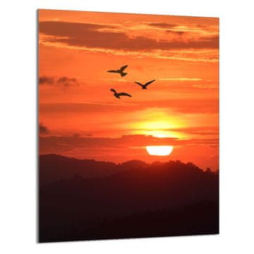 shumee STEKLENA REZALNA DESKA 40x52 Sun