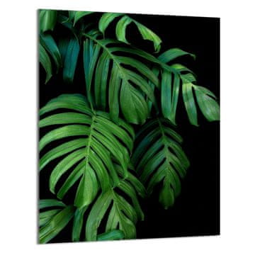shumee STEKLENA DESKA ZA REZANJE 40x52 Monstera