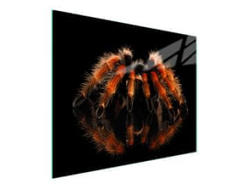 shumee STEKLENA DESKA ZA REZANJE 52x30 SPIDER