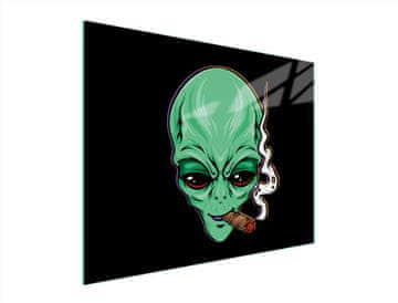 shumee STEKLENA DESKA ZA REZANJE 52x40 UFO