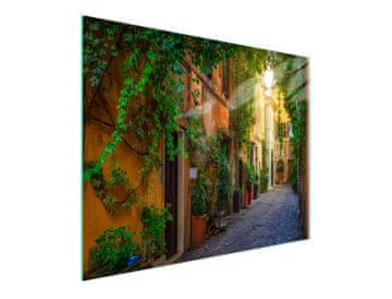 shumee STEKLENA DESKA ZA REZANJE 52x30 STREET