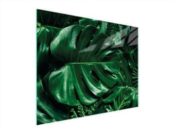 shumee STEKLENA DESKA ZA REZANJE 52x40 MONSTERA