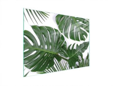 shumee STEKLENA DESKA ZA REZANJE 40x30 MONSTERA
