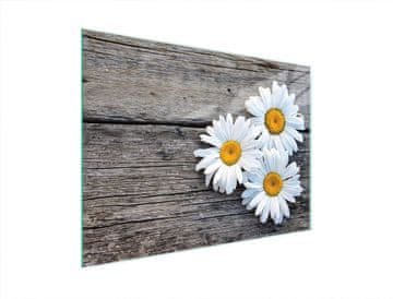shumee STEKLENA DESKA ZA REZANJE 40x30 DAISY