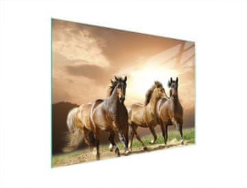shumee STEKLENA REZALNA DESKA 40x30 KONJI