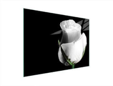 shumee STEKLENA DESKA ZA REZANJE 40x30 ROSE