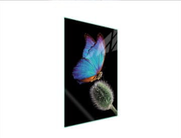 shumee STEKLENA DESKA ZA REZANJE 35x52 METULJ