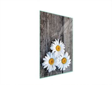 shumee STEKLENA DESKA ZA REZANJE 35x52 DAISY