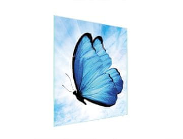 shumee STEKLENA DESKA ZA REZANJE 45x52 METULJ