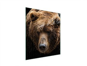 shumee STEKLENA DESKA ZA REZANJE 45x52 MEDVEDEK