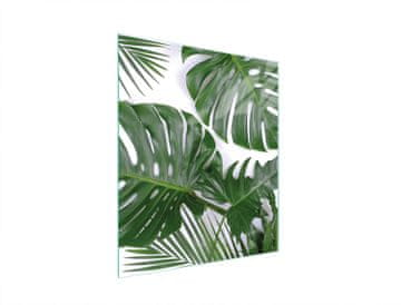 shumee STEKLENA DESKA ZA REZANJE 45x52 MONSTERA