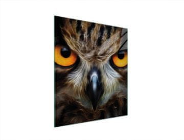 shumee STEKLENA DESKA ZA REZANJE 45x52 OWL