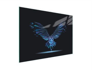 shumee STEKLENA DESKA ZA REZANJE 30x22 BIRD