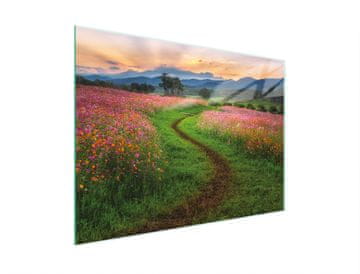 shumee STEKLENA REZALNA DESKA 30x22 VRH