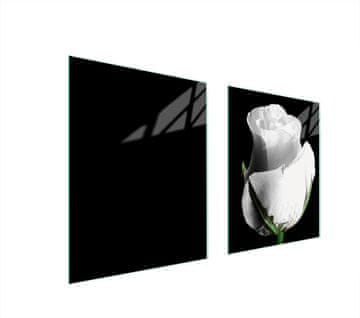 shumee STEKLENA ZAŠČITNA PLOŠČA ZA ŠTEDILNIK 85x52 ROSE