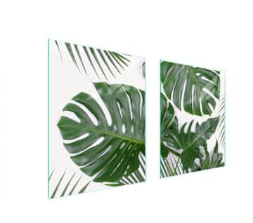 shumee ZAŠČITNA STEKLENA PLOŠČA ZA ŠTEDILNIK 85x52 MONSTERA