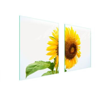 shumee STEKLENA ZAŠČITNA PLOŠČA ZA ŠTEDILNIK 85x52 FLOWER