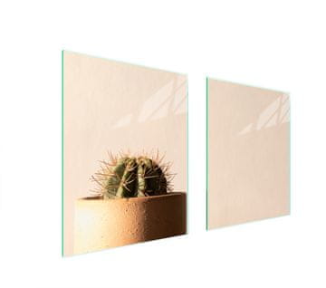 shumee STEKLENA ZAŠČITNA PLOŠČA ZA ŠTEDILNIK 85x52 CACTUS