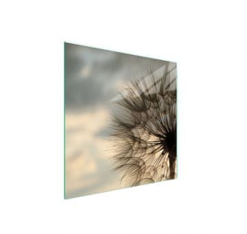 shumee STEKLENA ZAŠČITNA PLOŠČA ZA ŠTEDILNIK 50x52 FLOWER