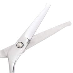 Vidaxl 4 kosi škarij za nego psov iz nerjavečega jekla