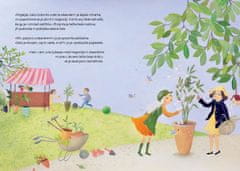 Založba AJDA V. Radovanovič: LJUBA MAGNOLIJA