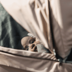 Thule Urban Glide 4-Wheel otroški voziček, magnetna zaponka, Dark Slate