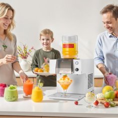 VEVOR Aparat za led Snežinka stroj za led 40x24x40 cm srebrn