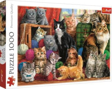 Trefl Puzzle Mačka srečanje / 1000 kosov