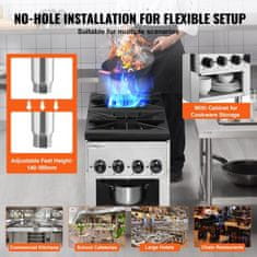 VEVOR Plinski štedilnik 2 gorilnika 4606x1811x2402 in Nerjaveče jeklo Komercialni