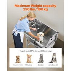 VEVOR Postaja za pranje psov 864x488x1025 cm srebrna