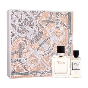 Hermès Terre d´Hermès darilni set toaletna voda 50 ml + gel za prhanje 40 ml za moške