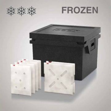 QOOL HLADILNA TORBA QOOL BOX ECO+ L | FROZEN BC000750
