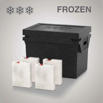 QOOL HLADILNA TORBA QOOL BOX ECO+ M | FROZEN BC000745