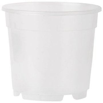 eoshop Prozoren plastični lonček za orhideje 17 cm, 2,3 l (TRA)