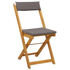 Vidaxl Zunanje bistro stolice 2 szt. Temno siva 40 x 53 x 80 cm