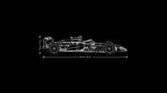 LEGO Dirkalnik McLaren MCL39 F1® (42228)