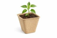 Ostatní Sejalnik Papir Euro tools 150525 8 x 8 x 7,5 cm, pakiranje 20 kosov