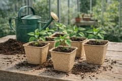 Ostatní Sejalnik Papir Euro tools 150525 8 x 8 x 7,5 cm, pakiranje 20 kosov